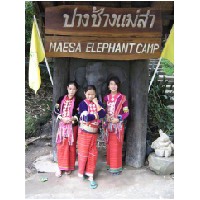 elephant camp.jpg